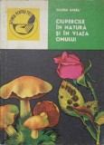 CIUPERCILE IN NATURA SI IN VIATA OMULUI-VALERIA BARBU-274485