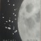 RACHEL BOWER - MOON MILK (POEMS, 2018) [VALLEY PRESS, UK / LIMBA ENGLEZA]