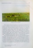 PODGORIA COTNARI de V.D. COTEA, N.N. BARBU, 2005