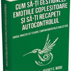 Cum sa-ti gestionezi emotiile coplesitoare si sa-ti recapeti autocontrolul - Matthew Mckay, Jeffrey C. Wood, Jeffrey Brantley