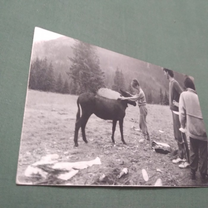 FOTO TIP CP DRUMETIE