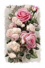 Sticker decorativ, Trandafiri, Roz, 85 cm, 9439ST foto