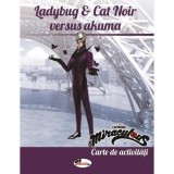 Ladybug and Cat Noir versus Akuma. Carte de activitati, Aramis
