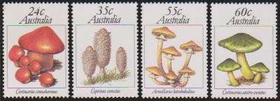 AUSTRALIA - 1981 - CIUPERCI foto