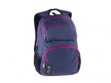 Rucsac scoala cu 5 compartimente,model Element Violet-Pink,46x32x23 cm, Pulse