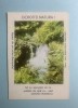 Calendar 1985 ocrotiți natura