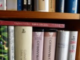Inimile celor patru - Vladimir Sorokin