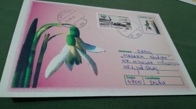 INTREG POSTAL GHIOCEL foto