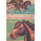 Din viata animalelor