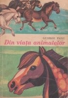 Din viata animalelor foto