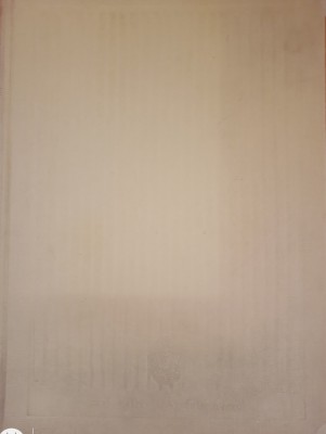 Anatomia omului Viscere - Z. Iagnov, E. Repciuc foto