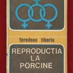 "Reproductia la porcine" - Feredean Tiberiu - 1974