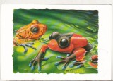 bnk cp Fauna - broaste - necirculata