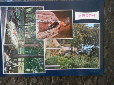 Carte postala Tebea, 1965, necirculata, impecabila foto