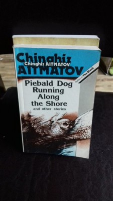 PIEBALD DOG RUNNING ALONG THE SHORE - CHINGHIZ AITMATOV foto