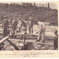 4827 - MARAMURES, Workers at the Railway, Litho - old postcard - used - 1901