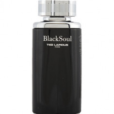 Black Soul Apa de toaleta Barbati 100 ml foto