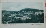 Carte postala, Brasov, castelul, 1930
