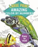 Amazing Color by Numbers: Large Print