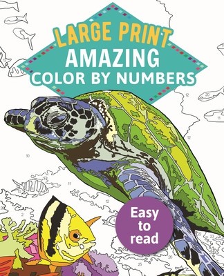 Amazing Color by Numbers: Large Print foto