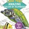 Amazing Color by Numbers: Large Print