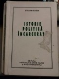 Stelian Neagoe - Istorie Politica Incarcerare