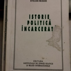 Stelian Neagoe - Istorie Politica Incarcerare