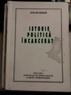 Stelian Neagoe - Istorie Politica Incarcerare foto