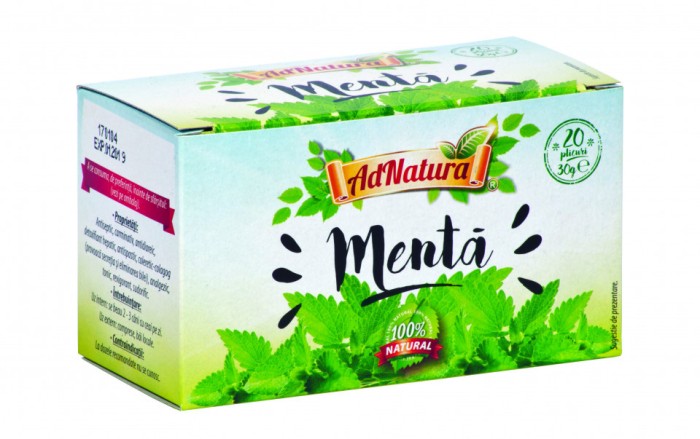 MENTA FRUNZE 20DZ