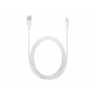 Cablu Date Lightning to Usb Apple 2m Alb foto