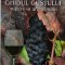 Ghidul gustului. Initiere in arta vinului &ndash; Cosmin Florescu Zidurean, Eugen Demeterca