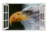 Sticker decorativ, Fereastra 3D, Vultur, 85 cm, 274STK, natura si peisaje