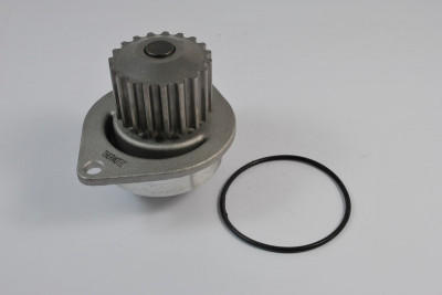 Pompa apa PEUGEOT 307 CC (3B) (2003 - 2016) THERMOTEC D1P010TT foto
