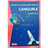 Probleme de Matematica Aplicata Cangurul. clasele IX-X - 213 - 2013 (AQ169)