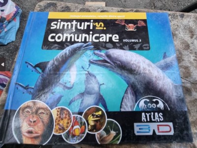 Simturi si comunicare volumul 3 - Ilona Bagoly foto