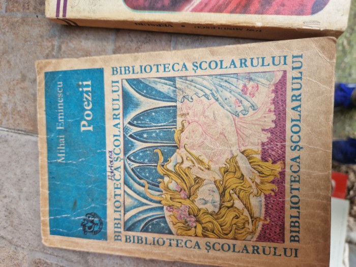 Mihai Eminescu poezii vintage