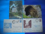HOPCT LOT 2598 BALC-TINCA-MEZIAD-SALONTA-JUD BIHOR-4 CARTI POSTALE-CIRCULATE