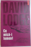 CE MICA-I LUMEA de DAVID LODGE , 2003