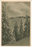 CPIB 18063 CARTE POSTALA - MUNTII BUCEGI. POSTAVARUL, RPR, LIBRARIA NOASTRA