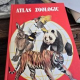 Atlas Zoologic - Anuta Ionescu-Andrei