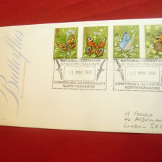 Plic FDC Fluturi 1981 Anglia