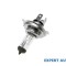 Bec h4 12v halogen (set 10 bc.) UNIVERSAL Universal #1