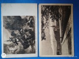 grup doua carti postale ,necirculate