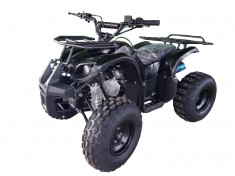 ATV KXD 125cc 4 timpi - 006D roti de 10&amp;amp;quot; culoare negru Cod Produs: MX_NEW 1092BL foto