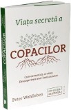 Viata secreta a copacilor - Peter Wohlleben