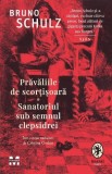 Prăvăliile de scorțișoară. Sanatoriul sub semnul clepsidrei - Bruno Schulz