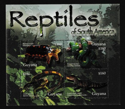 GUYANA 2005 FAUNA REPTILE foto