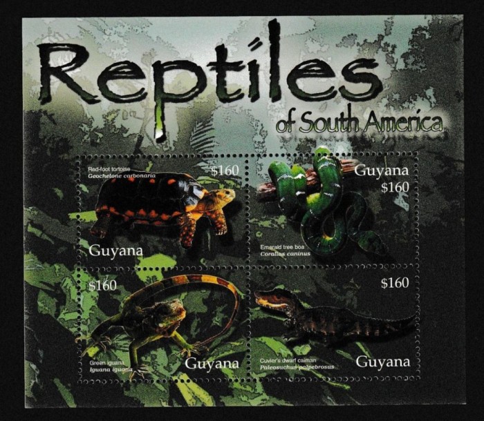 GUYANA 2005 FAUNA REPTILE