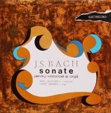 J.S. Bach &ndash; Sonate pentru violoncel si orga. Violoncel Radu Aldulescu , orga