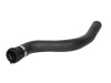 Furtun radiator FORD FIESTA V (JH, JD) (2001 - 2010) THERMOTEC DCG035TT